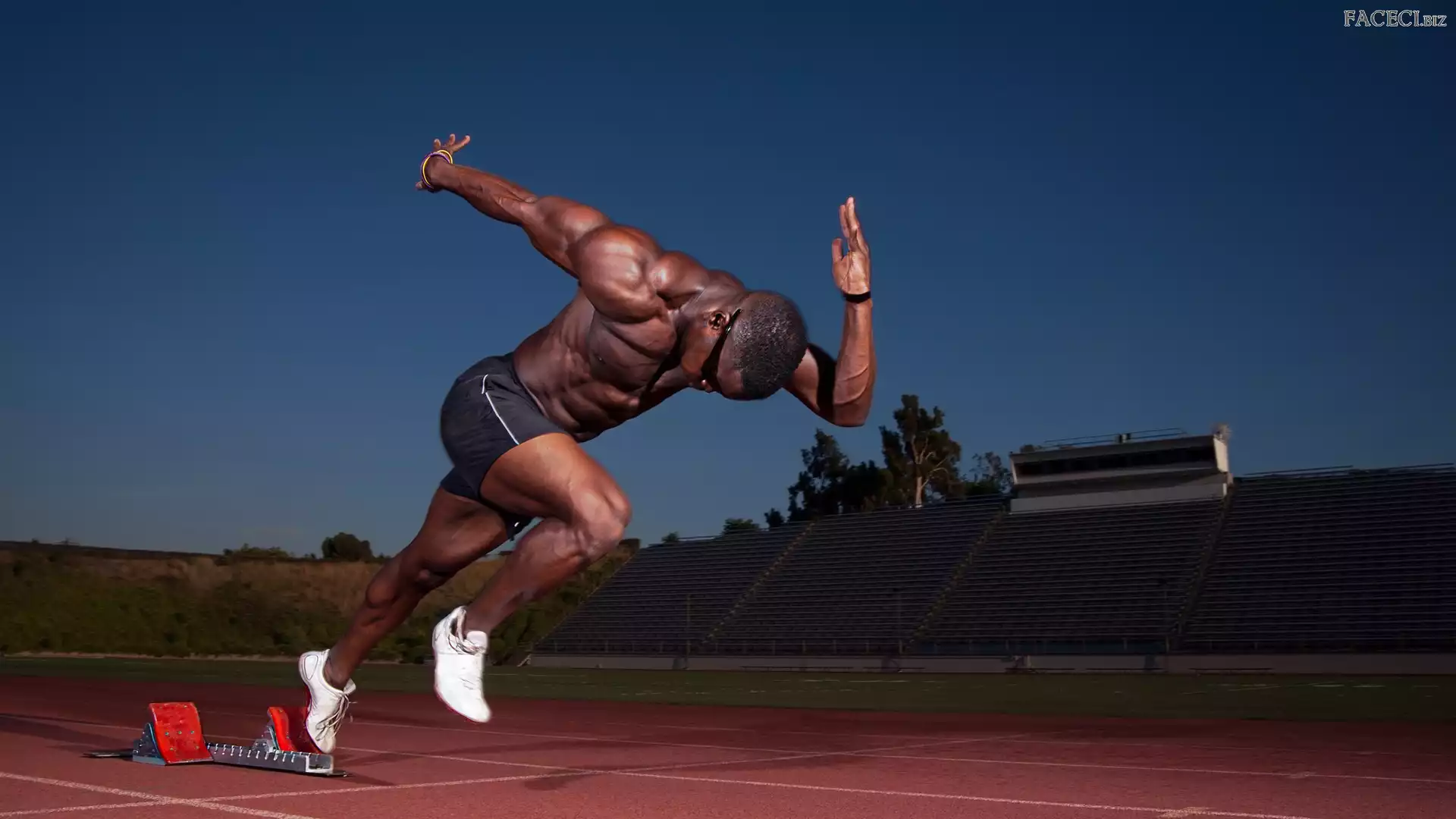 Biegacz, Stadion, Lekkoatleta, Start
